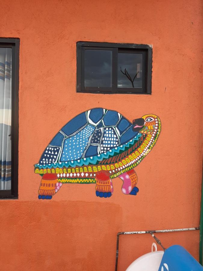 Casa Xochimilco Apartment Oaxaca Екстериор снимка