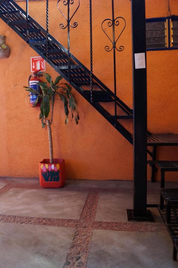 Casa Xochimilco Apartment Oaxaca Екстериор снимка